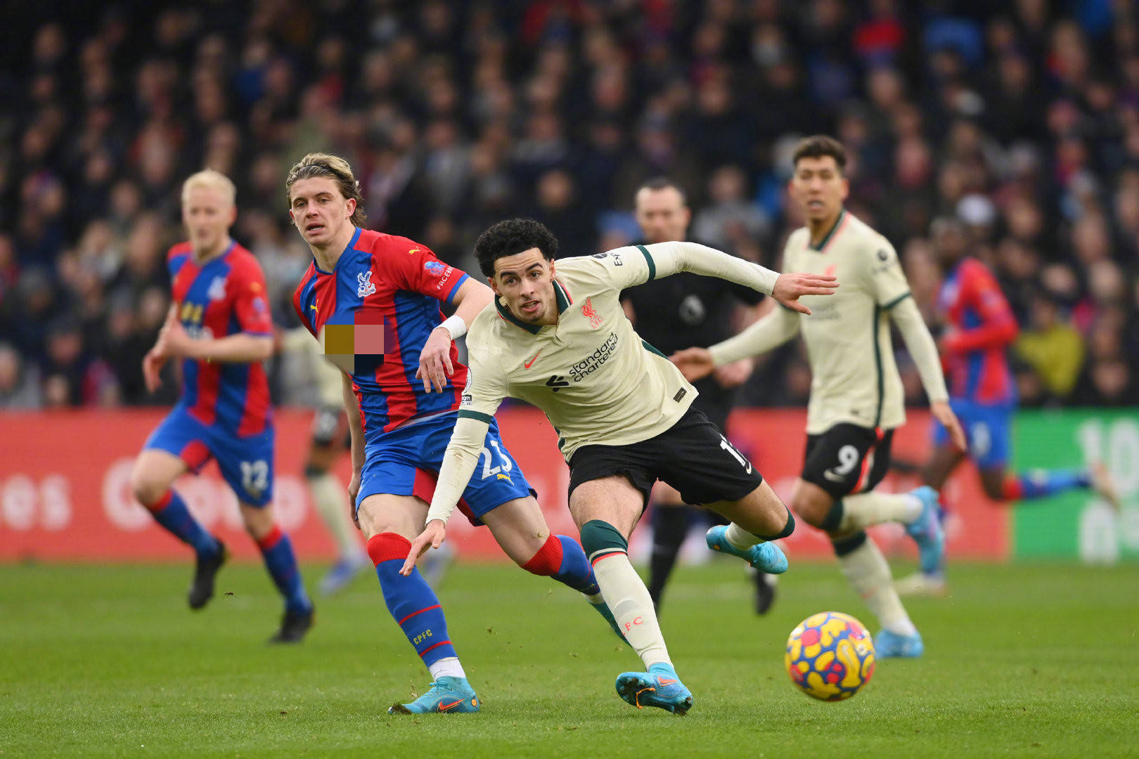 这表明他们 这表明他们